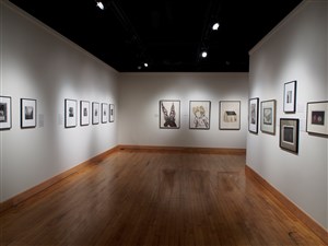 Culinary Roots/Migratory Routes